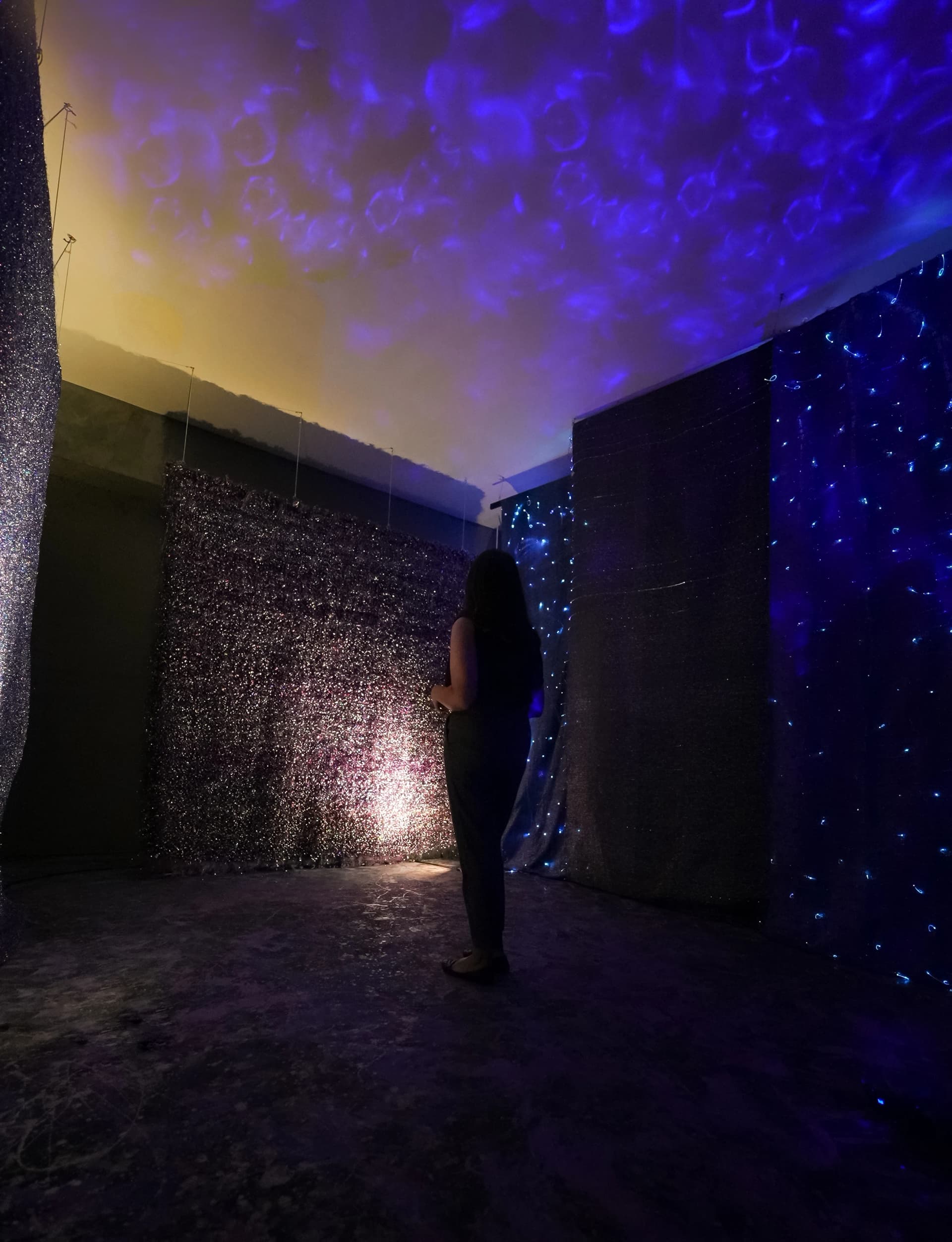 Batch 2023 - Image 7