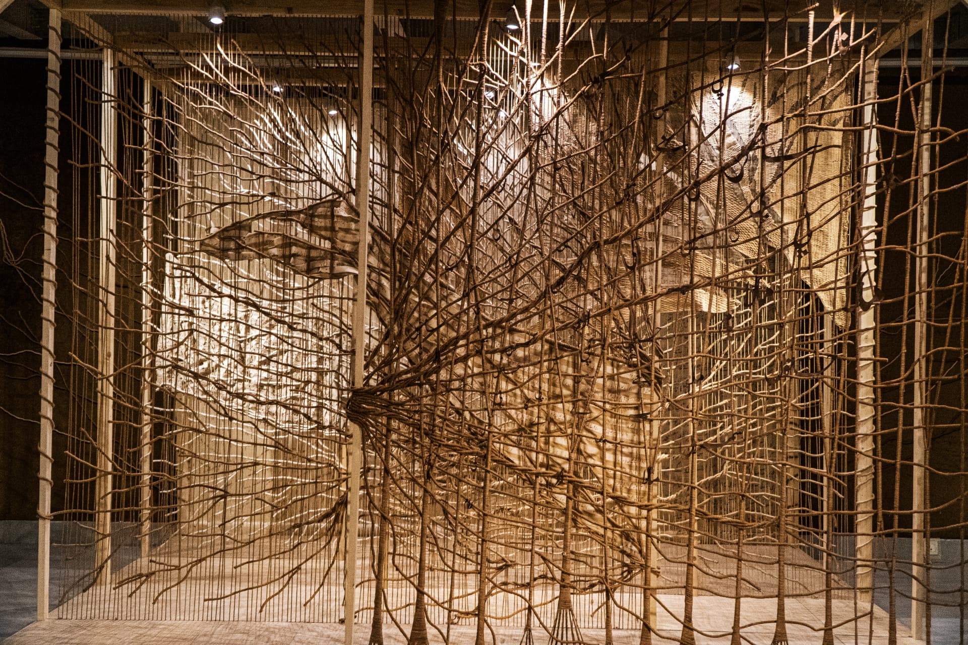 Batch 2025 - Image 3