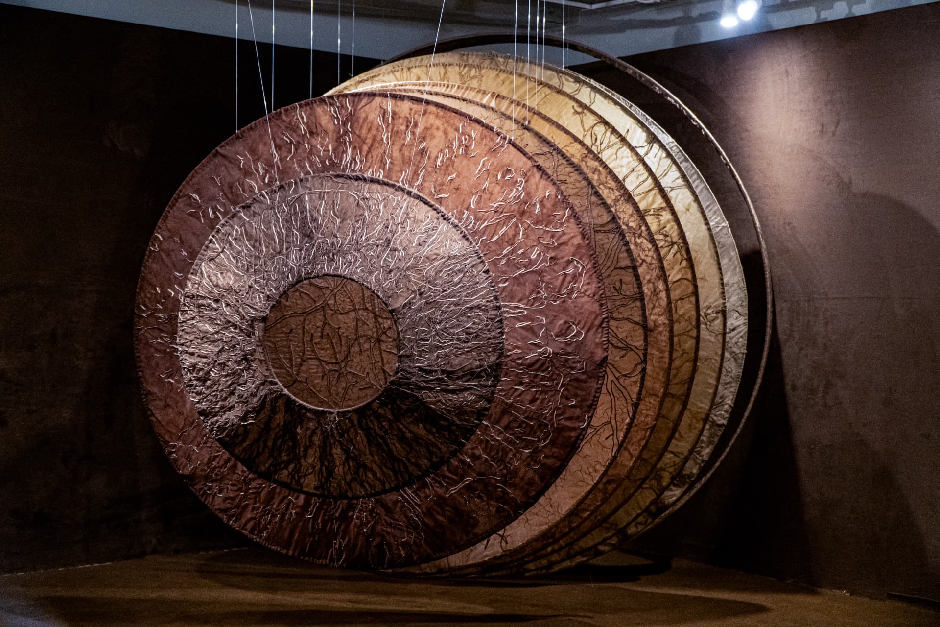 Batch 2025 - Image 6