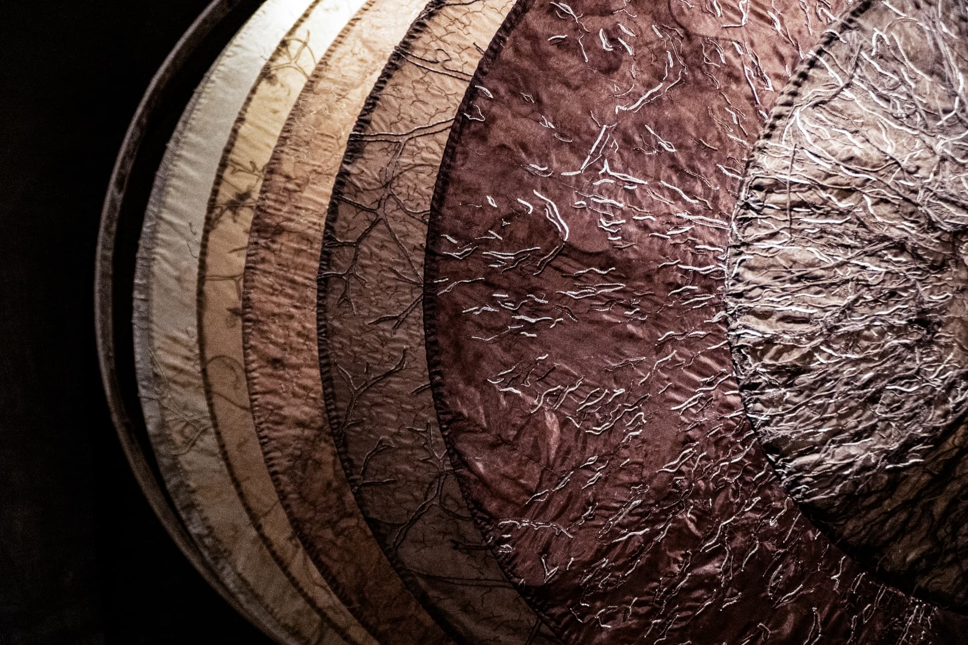 Batch 2025 - Image 8